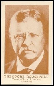 D68 26 Theodore Roosevelt.jpg